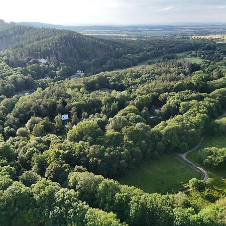 Ferienwohnung Im Logierhaus Villa Ihler Luisenthal Dış mekan fotoğraf