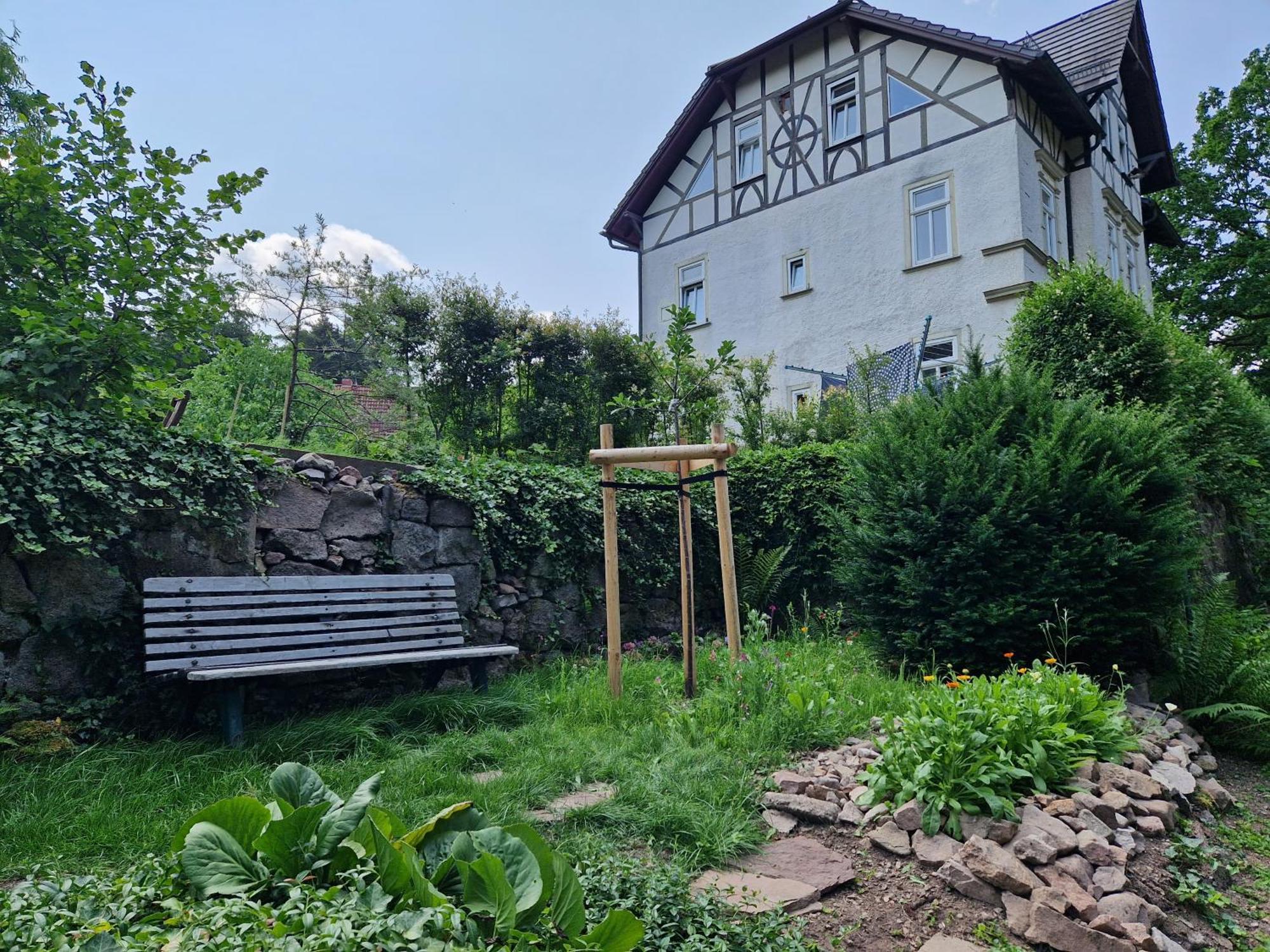Ferienwohnung Im Logierhaus Villa Ihler Luisenthal Dış mekan fotoğraf